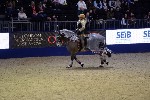 Quadrille - 00796